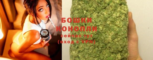 шишки Саяногорск