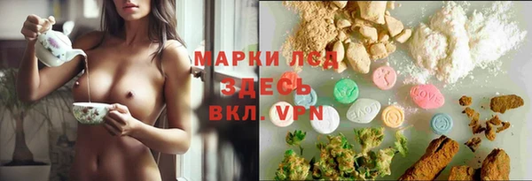 сатива Алексеевка