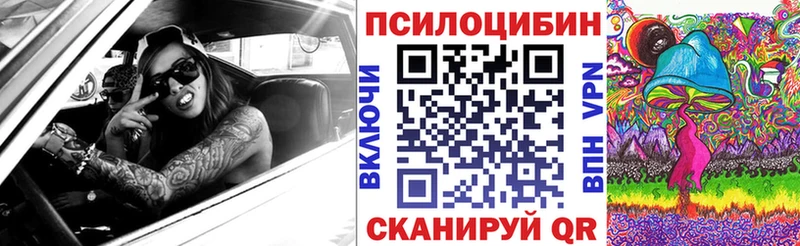 omg маркетплейс  Алексин  Псилоцибиновые грибы мицелий  darknet формула  дарнет шоп 